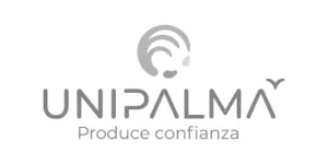 Cliente 6